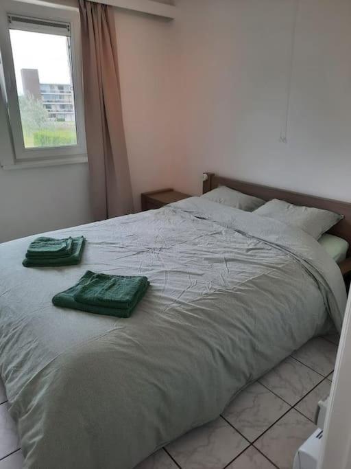 Spacieux Duplex Pres De La Mer 4 Chambres 2 Sdb 德哈恩 外观 照片
